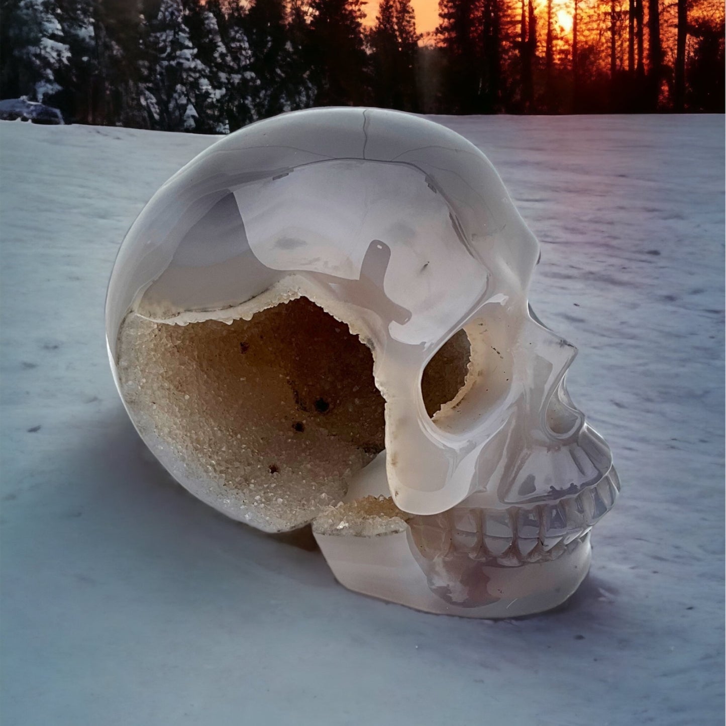 Water Agate Skull Carving with Beautiful Druzy Cavern 5"